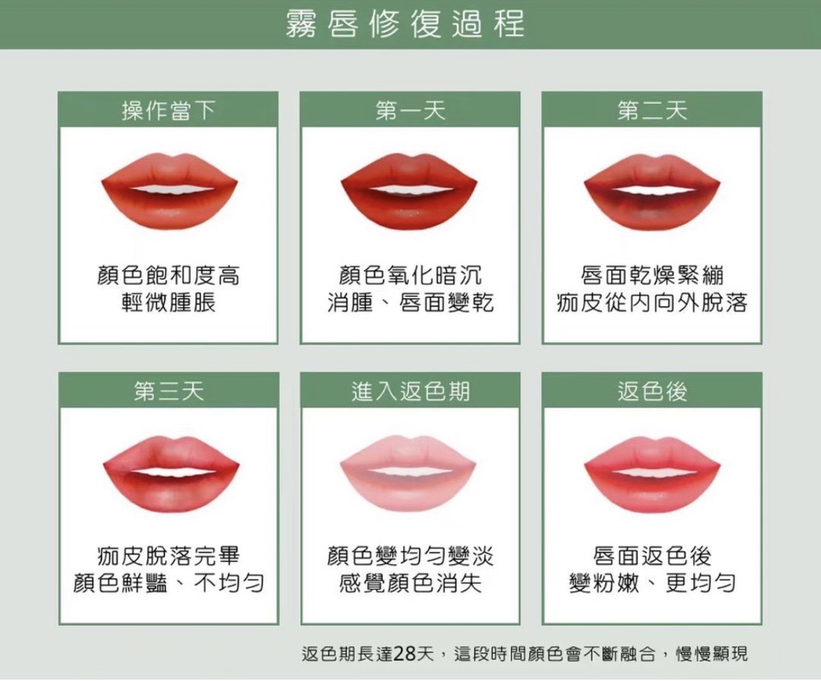 霧唇修復過程​、返色期介紹 - 維納斯美學 Venus Studio
